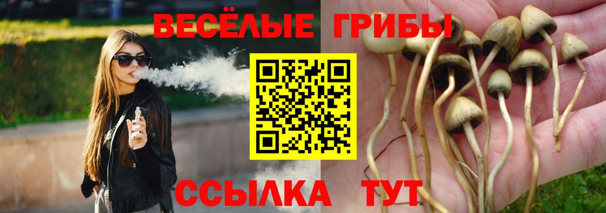 Галлюциногенные грибы GOLDEN TEACHER  Вход с VPN  Свободный  Псилоцибиновые грибы GOLDEN TEACHER 